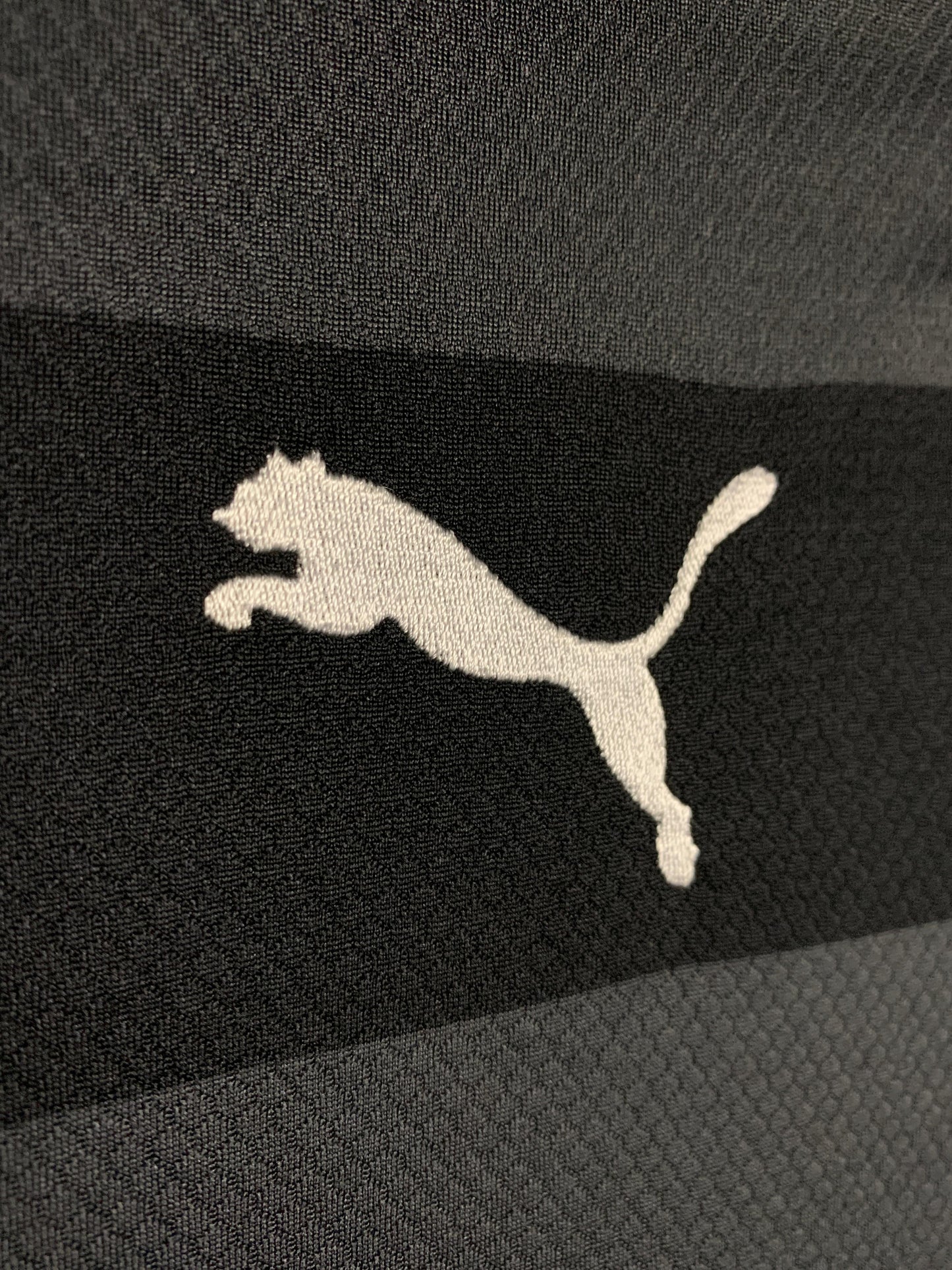 Puma Black & Gray Full Sleeves - Large